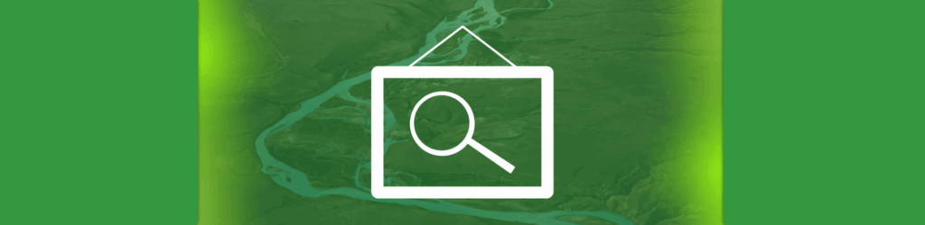 SPF Surveyor: See your SPF Record Activity