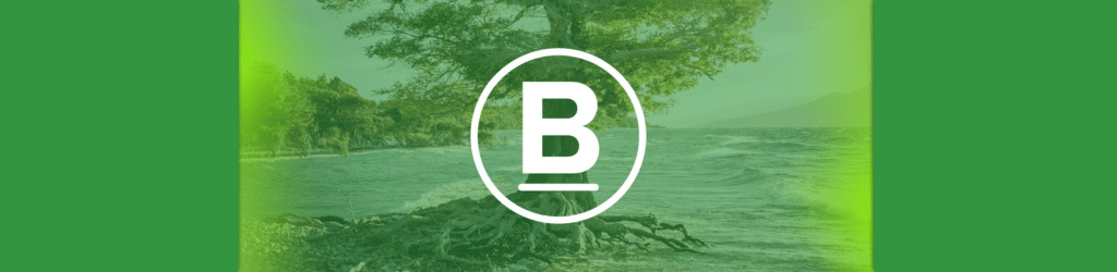 dmarcian Earns B Corporation Certification
