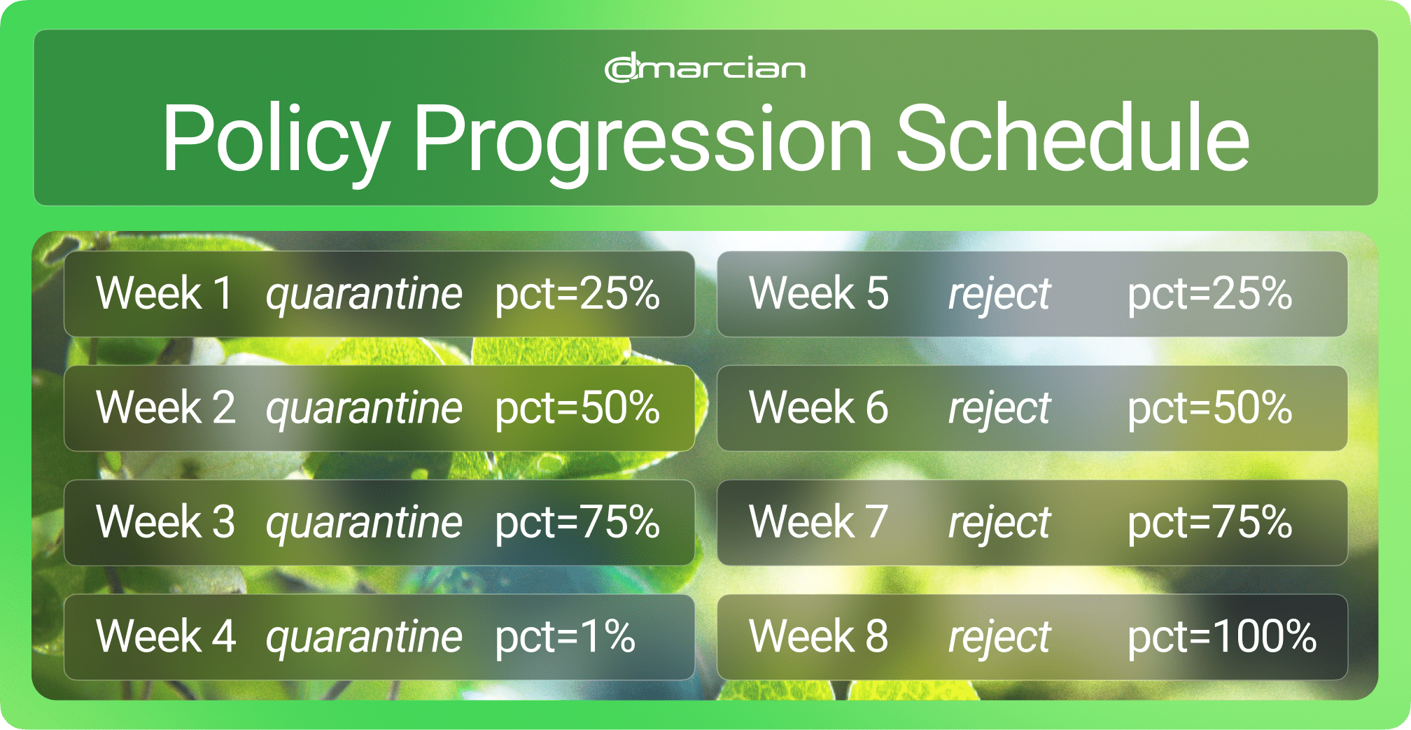 DMARC Policy Progression Schedule