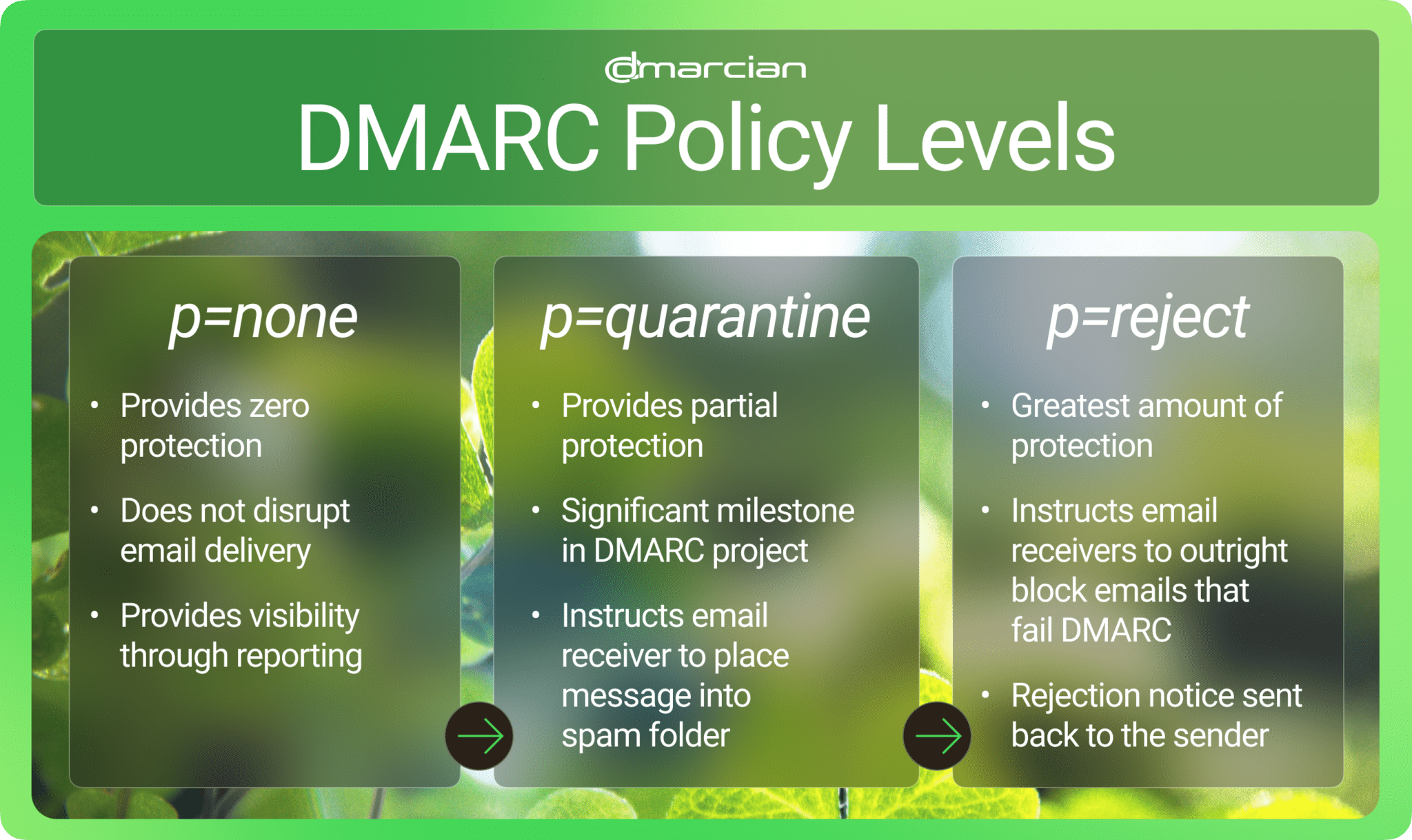 DMARC Policy Level Table
