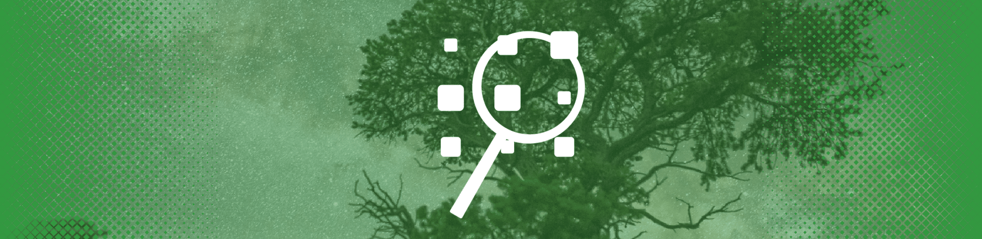 2023 Internet Crime Report - dmarcian