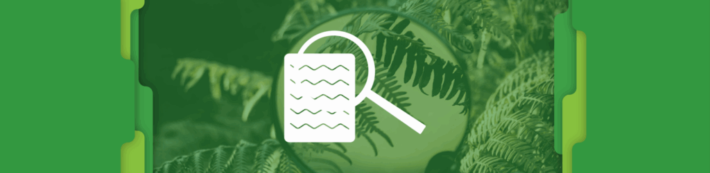 DMARC Inspector