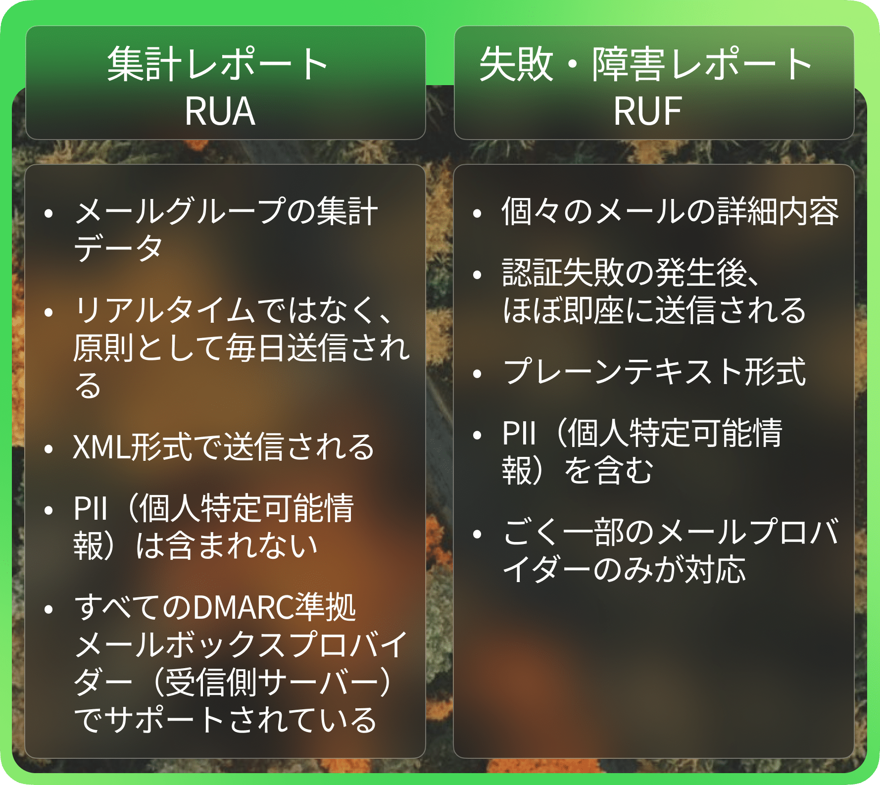 RUA 対 RUF